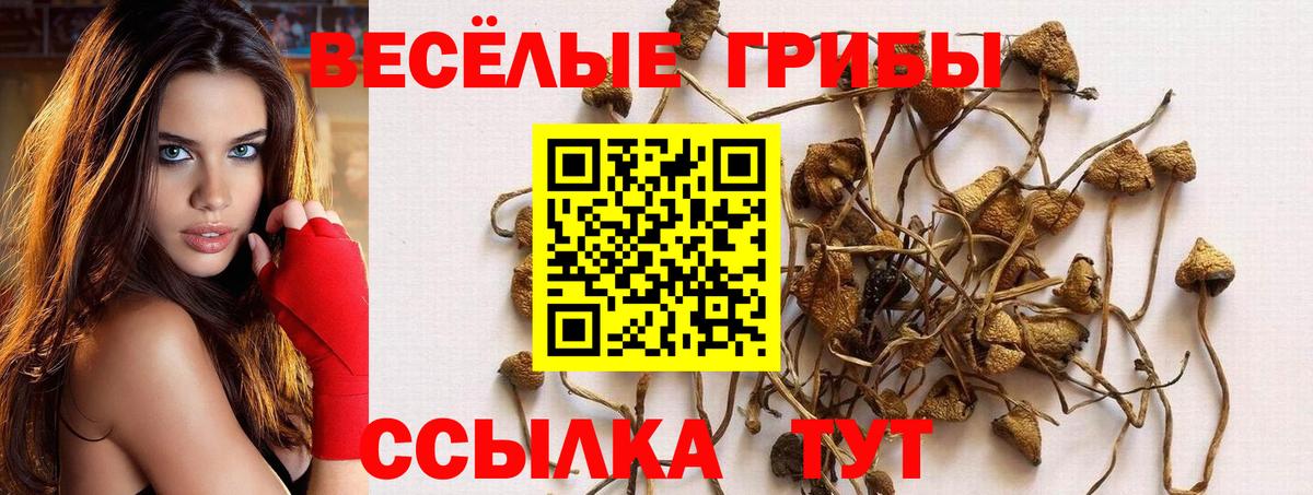 Псилоцибиновые грибы GOLDEN TEACHER Орехово-Зуево
