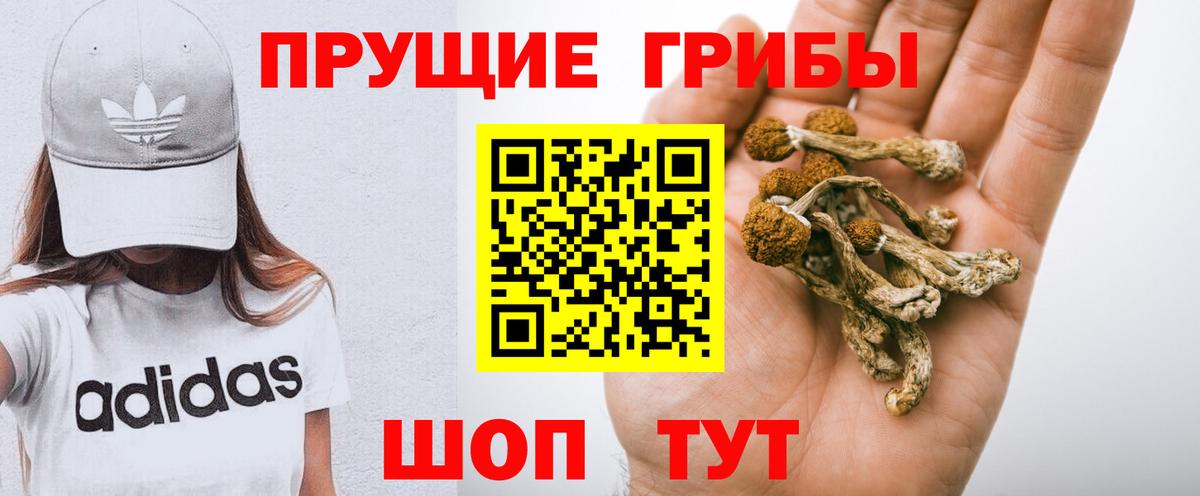 Галлюциногенные грибы Cubensis  Вход с VPN  купить  сайты  Орехово-Зуево  Псилоцибиновые грибы Psilocybine cubensis 
